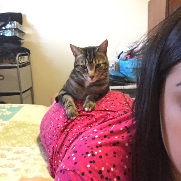 Meet your Posher, Melissa - Picture 4 of 5